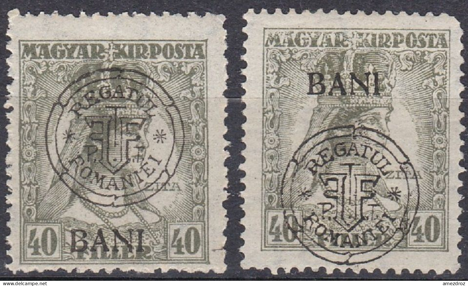 Transylvanie Cluj Kolozsvar 1919 N° 35-35a * Reine Zita    (J20) - Siebenbürgen (Transsylvanien)