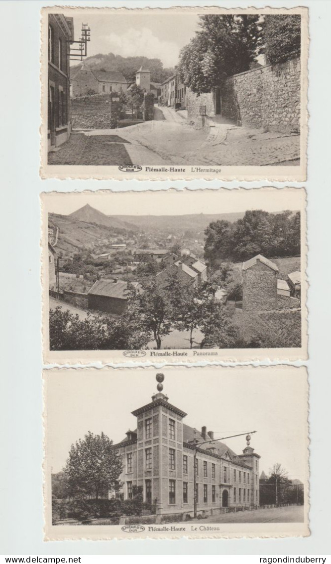 CPA - BELGIQUE - FLEMALLE-HAUTE - Panorama, L' Hermitage, Et Le Château - Lot De 3 Cartes Vers 1930 Bel état - Flémalle