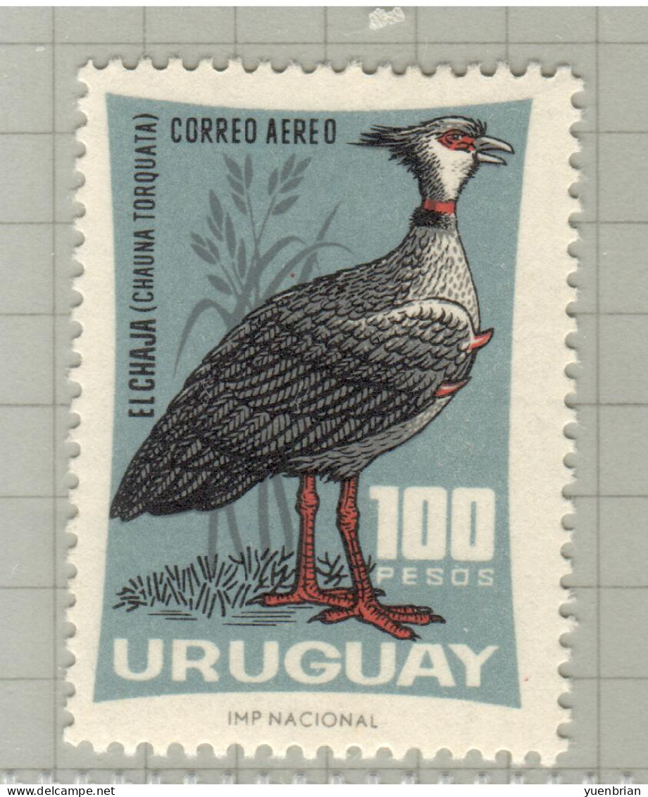 Uruguay 1966, Bird, Birds, 1v, MNH** - Pingouins & Manchots