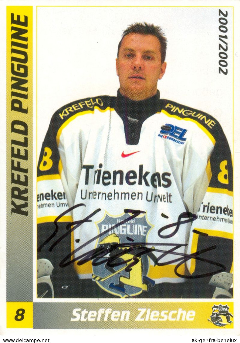 Autogramm Eishockey AK Steffen Ziesche Krefeld Pinguine 01-02 Dynamo Berlin Frankfurt Lions Cardiff Devils Dresden - Wintersport