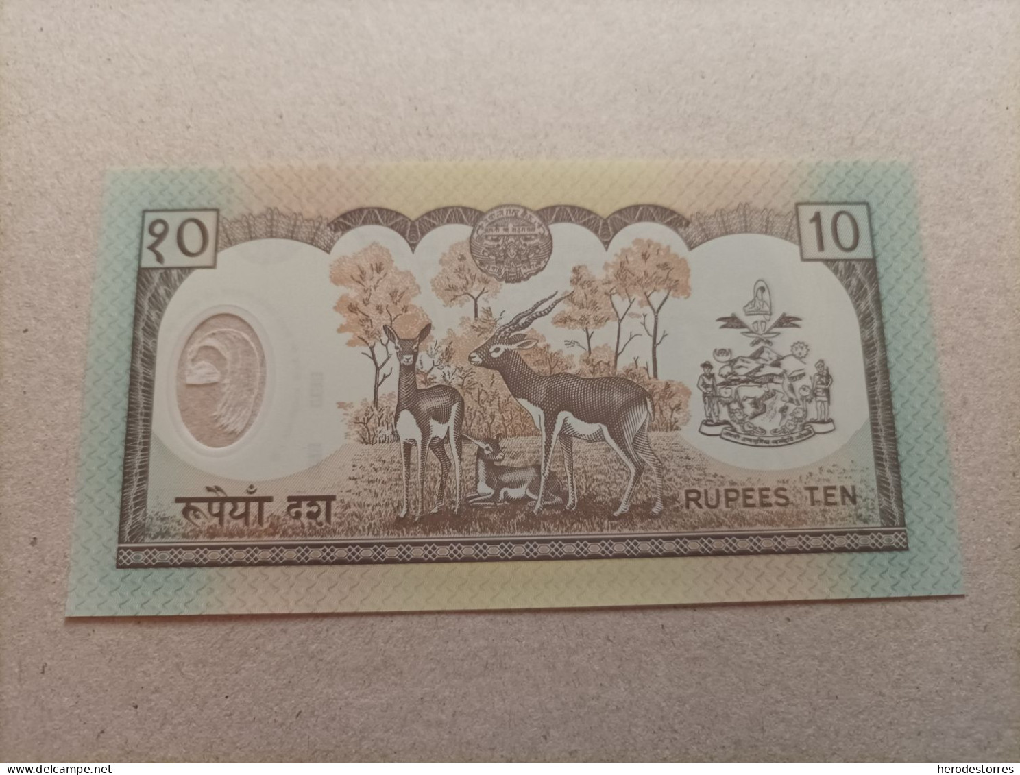 Billete De Nepal De 10 Rupias, Año 2005, UNC - Nepal