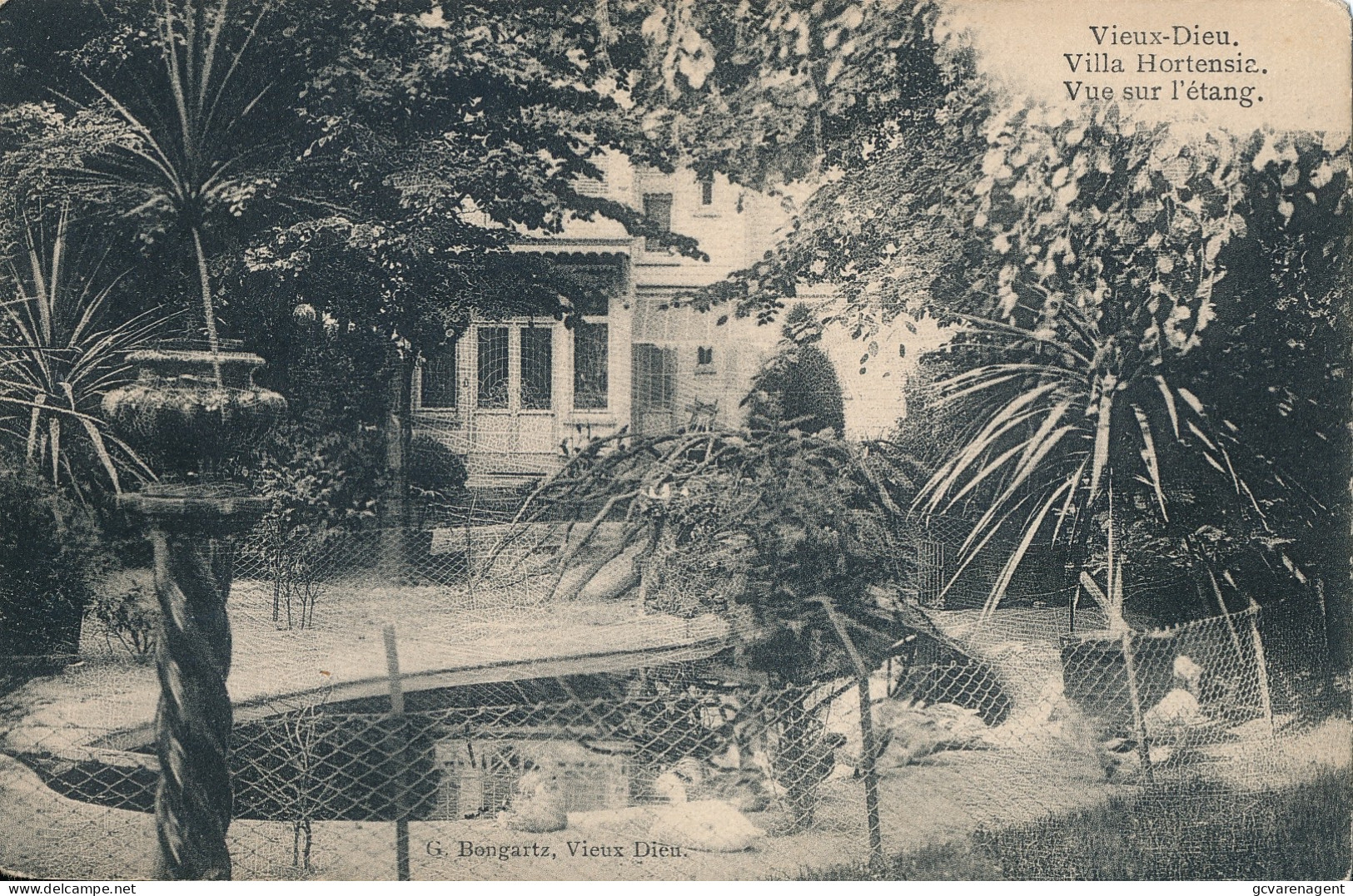 OUDE GOD   VIEUX DIEU  VILLA HORTENSIA  VUE SUR L'ETANG        ZIE SCANS - Mortsel