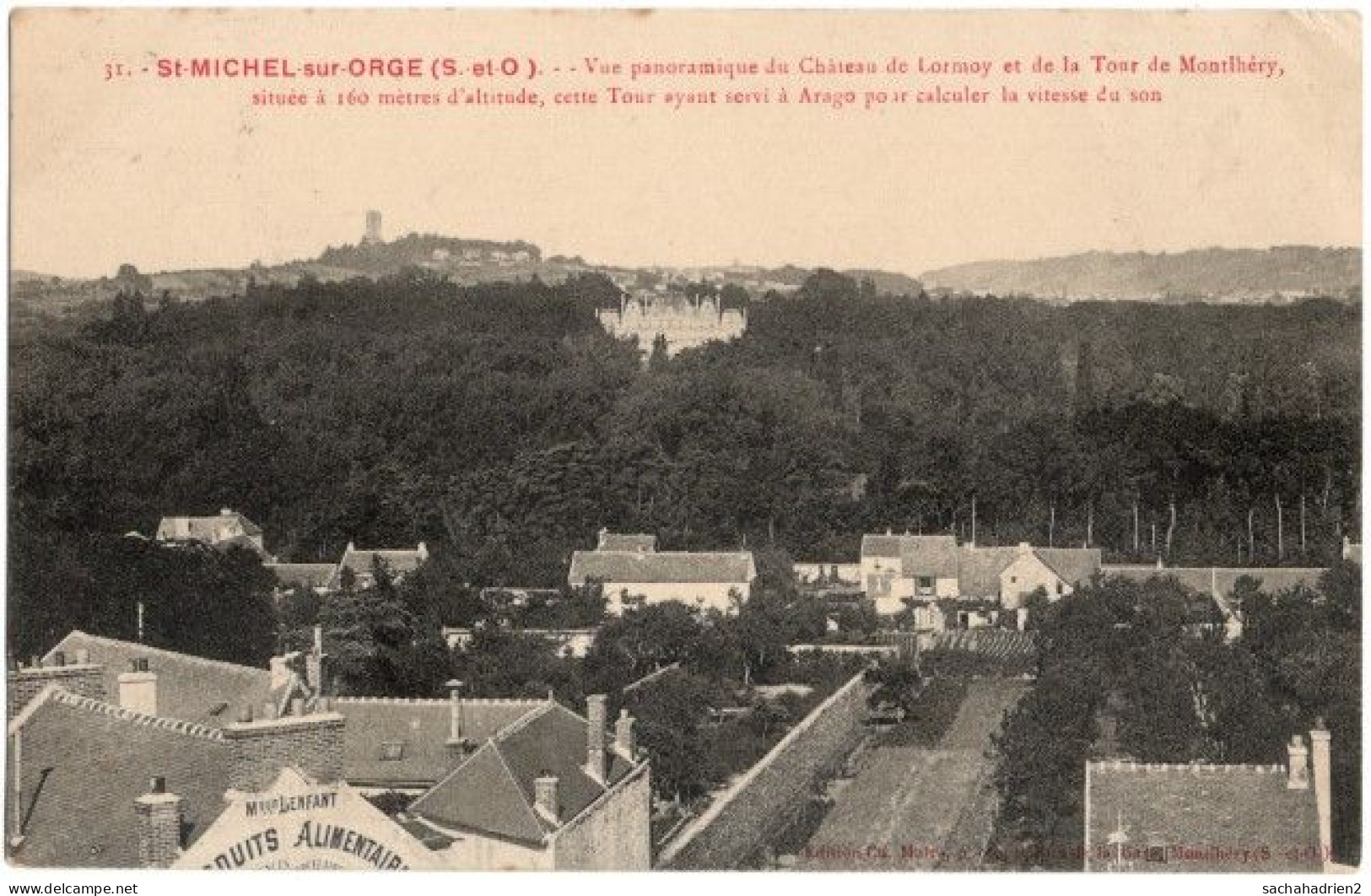 91. ST-MICHEL-SUR-ORGE. Vue Panoramique Du Château De Lormoy Et De La Tour De Montlhéry. 31 - Saint Michel Sur Orge