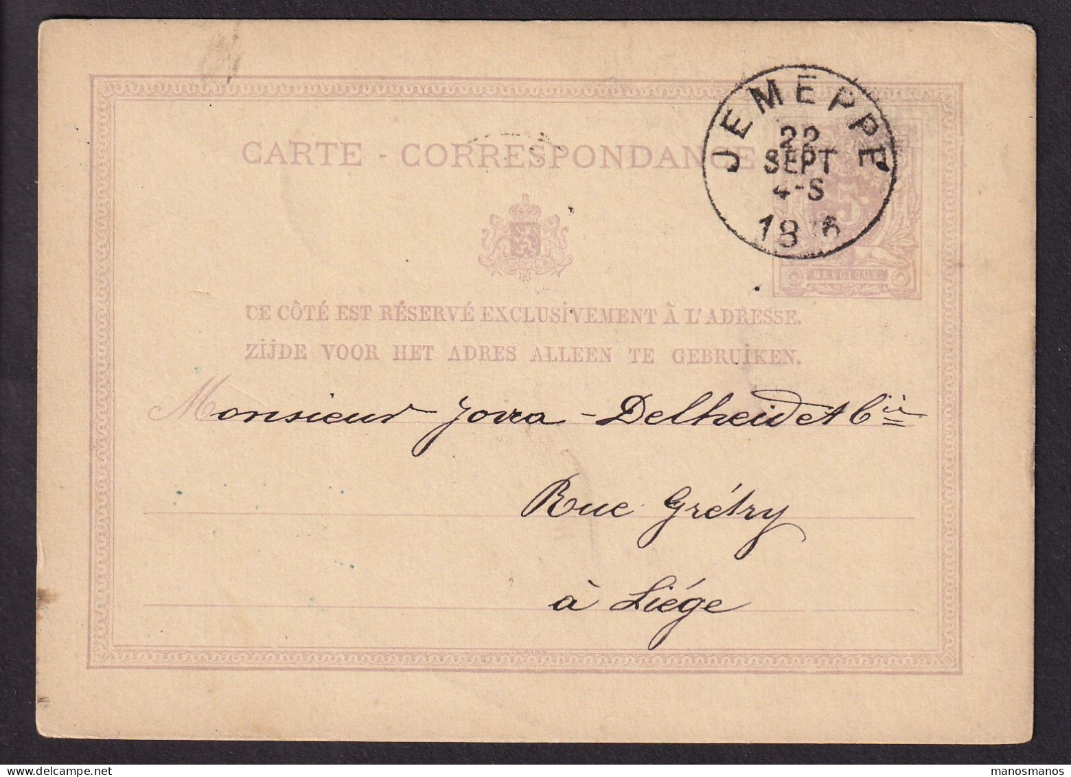 DDFF 532 - Entier Lion Couché JEMEPPE 1876 - Autre Cachet Braconnier Frères Et Soeur à TILLEUR - Cartes Postales 1871-1909