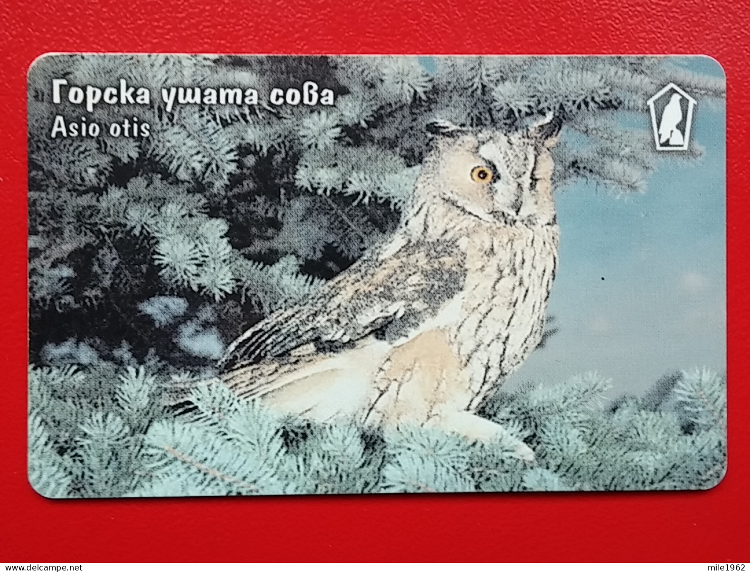 T-28 - TELECARD, PHONECARD, BULGARIA, OWL, HIBOU - Bulgarien