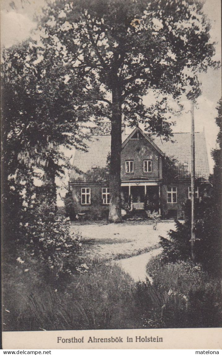 ALLEMAGNE SCHLESWIG-HOLSTEIN FORSTHOF AHRENSBÖK IN HOLSTEIN - Ahrensburg