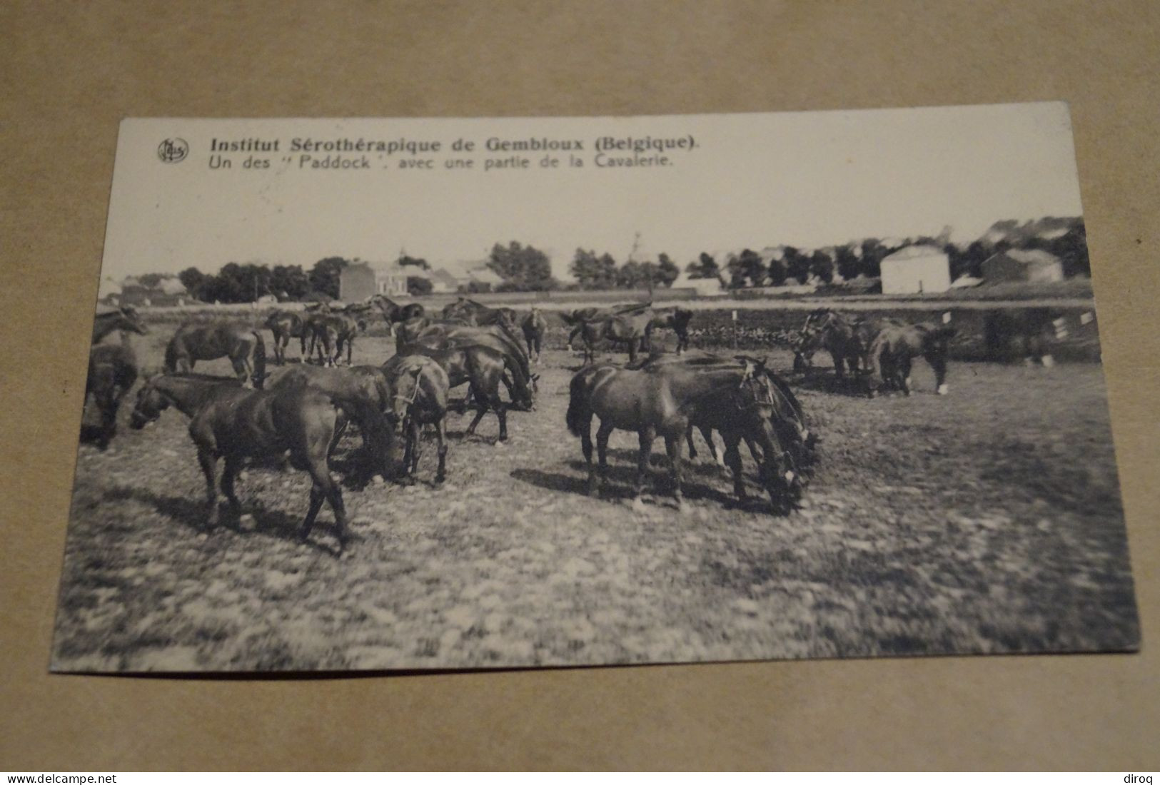 RARE,belle Carte,Gembloux, Institut Sérothérapique (chevaux) 1934, TB Oblitération , Pour Collection - Gembloux