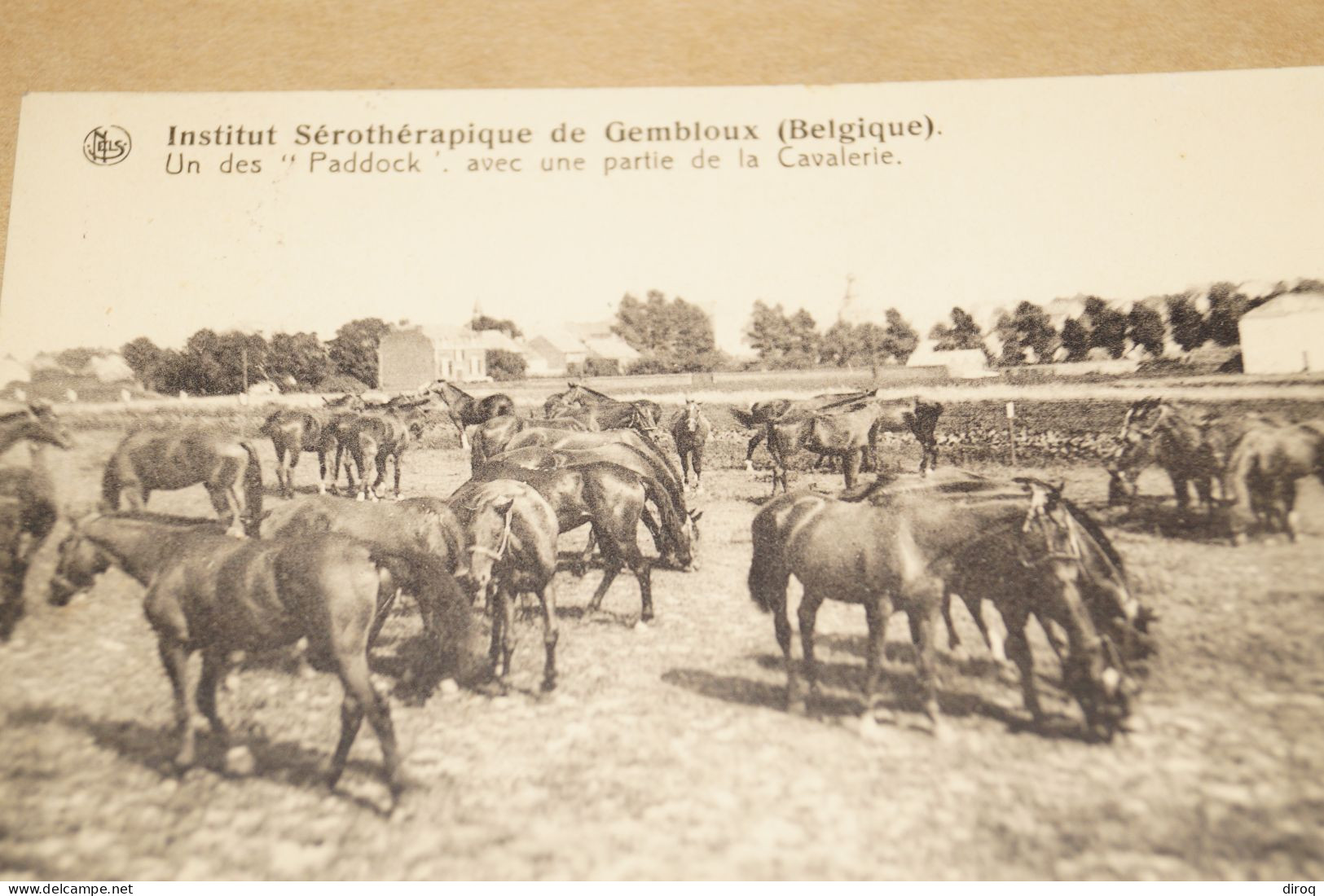 RARE,belle Carte,Gembloux, Institut Sérothérapique (chevaux) 1934, TB Oblitération , Pour Collection - Gembloux