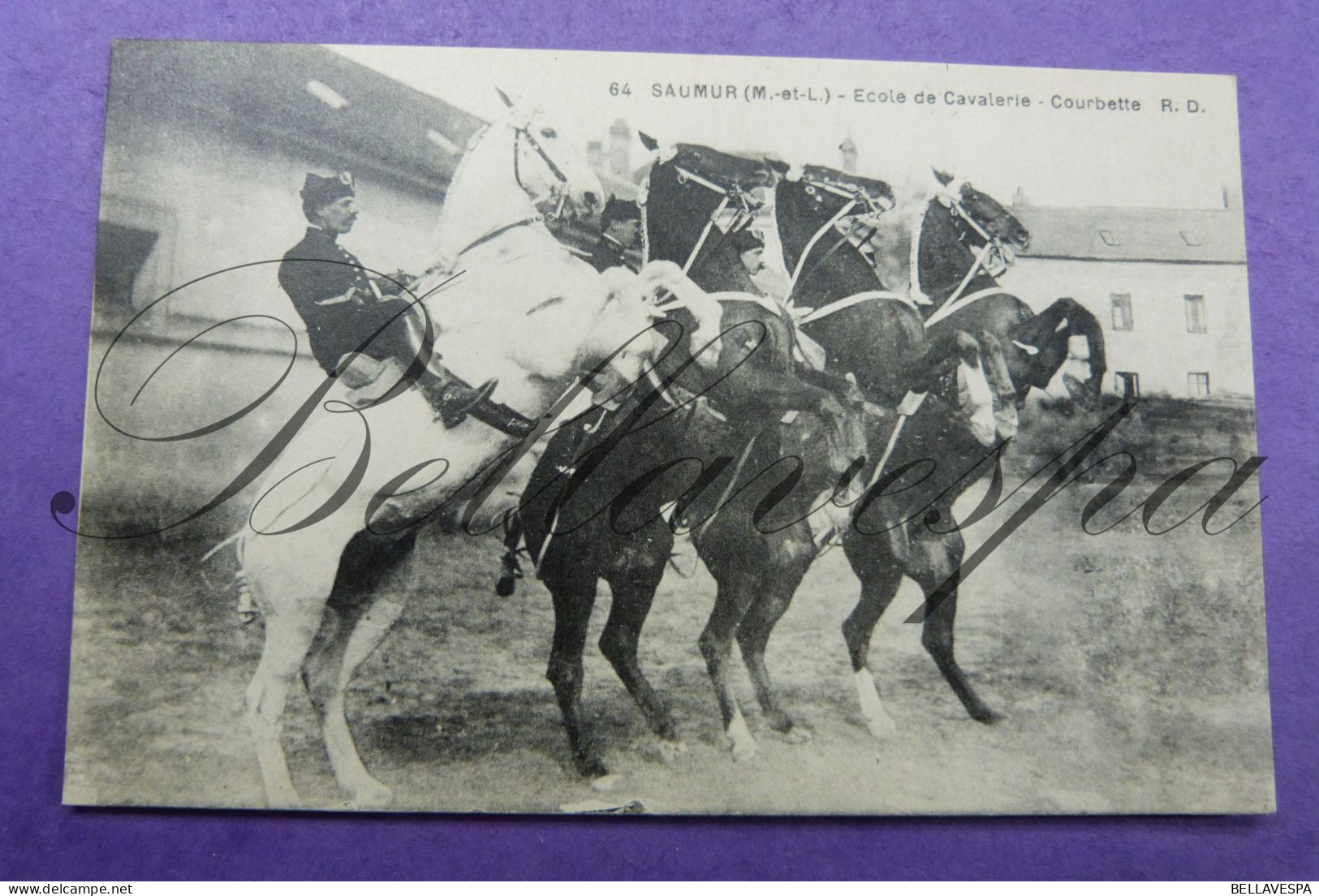 Saumur Ecole De Cavalerie  Croupades & Courbette N°14 & N°64/ 2 X Cpa/ D49 - Chevaux