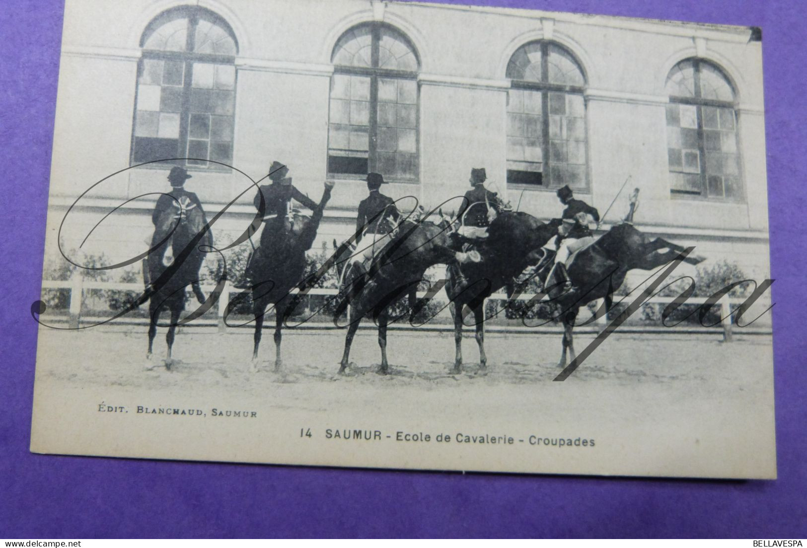 Saumur Ecole De Cavalerie  Croupades & Courbette N°14 & N°64/ 2 X Cpa/ D49 - Chevaux