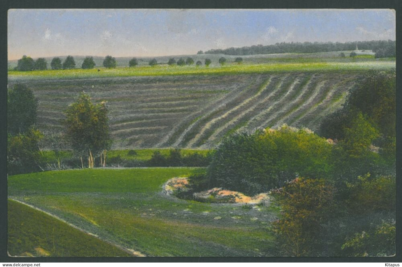 LATVIAN MOUND Vintage Postcard Latweeschu Pilskalns Latvia - Lettonie