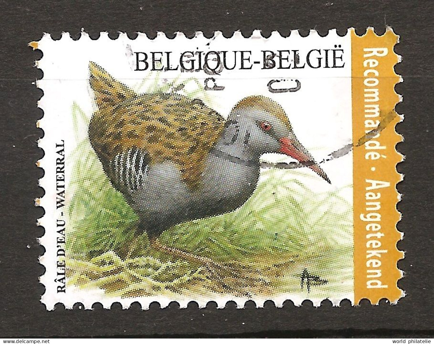 Belgique Belgie 2017 N° 4641 O Courant, Oiseau, Rallus Aquaticus, Râle D'eau, Waterral, Omnivore, Migrateur, Bird - Usados