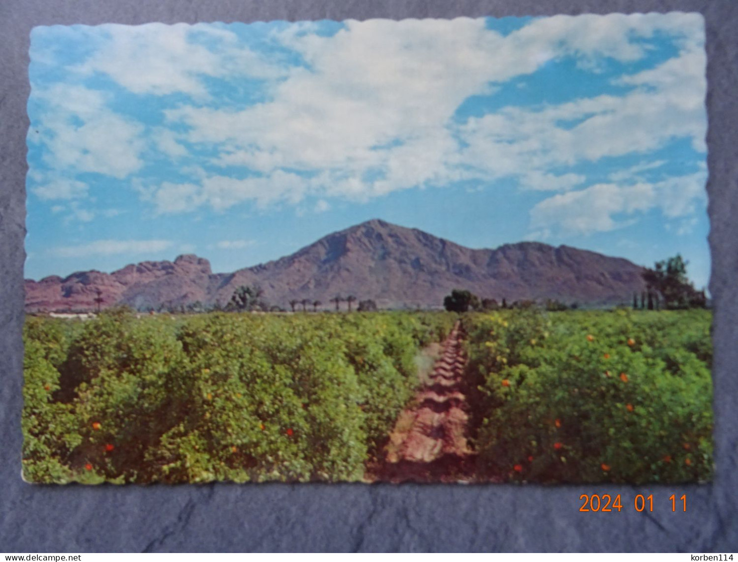 CAMELBACK MOUNTAIN - Phönix