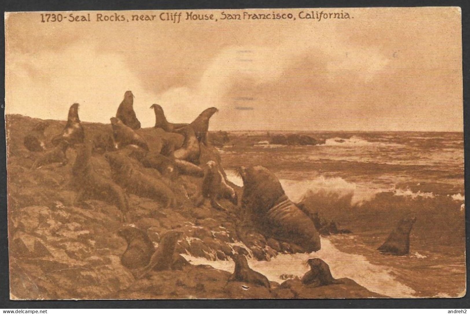 Animals  Animaux - C.P.A. Postmarked 1913 With A Nice Stamp - Seal Rocks Near Cliff House San Francisco California - Dauphins