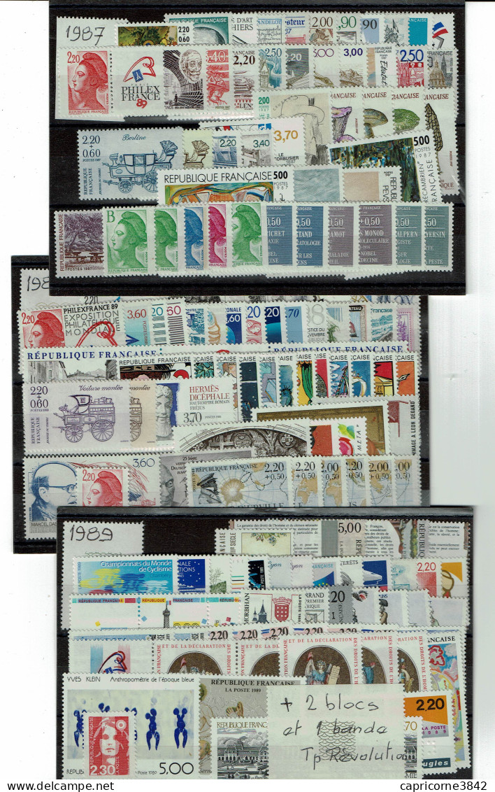 11 Années Complètes De 1987 à 1997 - 603 Timbres Neufs - Valeur Catalogue Yvert Et Tellier 2015 = 1095€ + 12 Blocs - 1980-1989