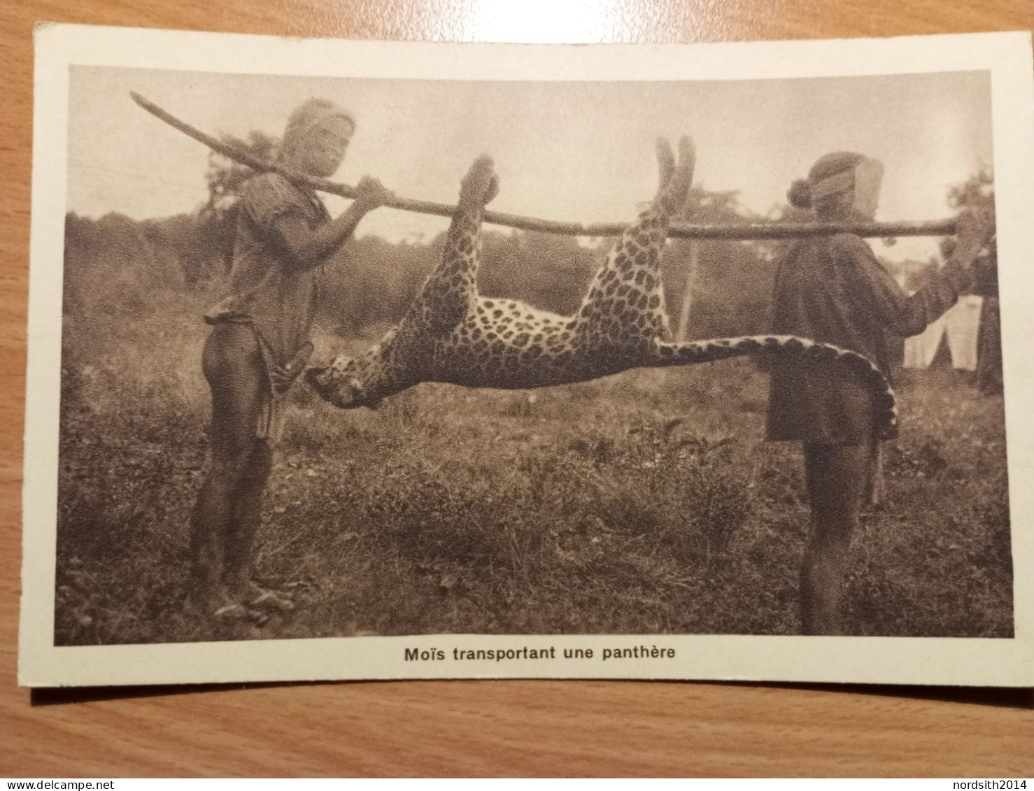 Congo Belge - Katanga - Chasse - Brousse - Leopard - Jaguard - Panthere - 02 - Congo Belge