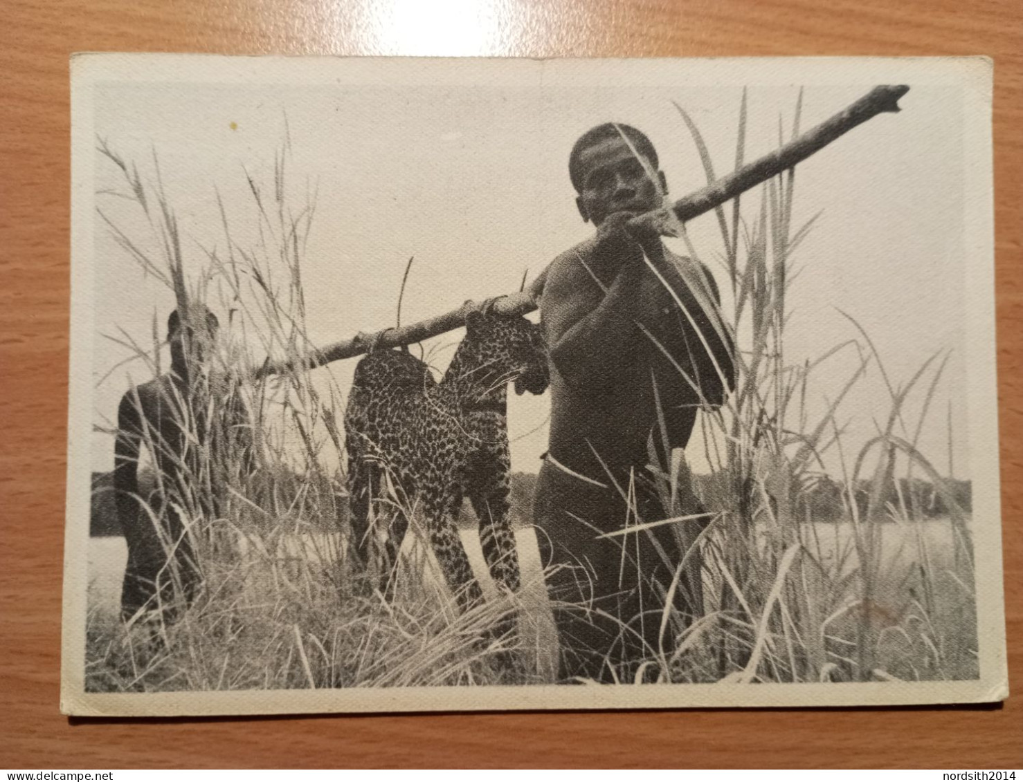 Congo Belge - Katanga - Chasse - Brousse - Leopard - Jaguard - Panthere - 03 - Congo Belge