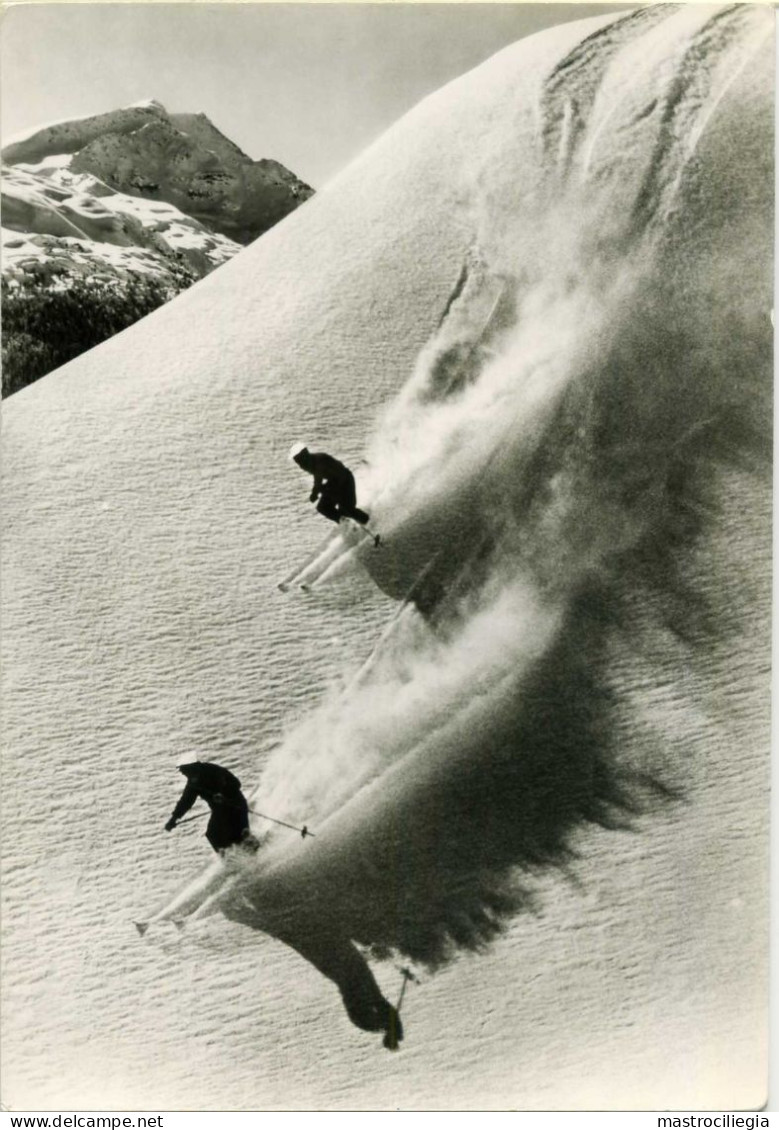 SILVAPLANA Bei ST. MORITZ Skilaufen Ski Sci Skilift Corvatsch  - Silvaplana