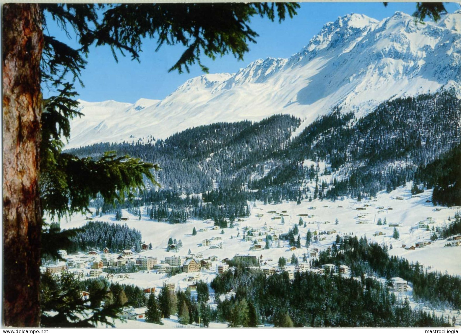 LENZERHEIDE OBERVAZ Panorama Mit Parpaner Rothorn - Vaz/Obervaz