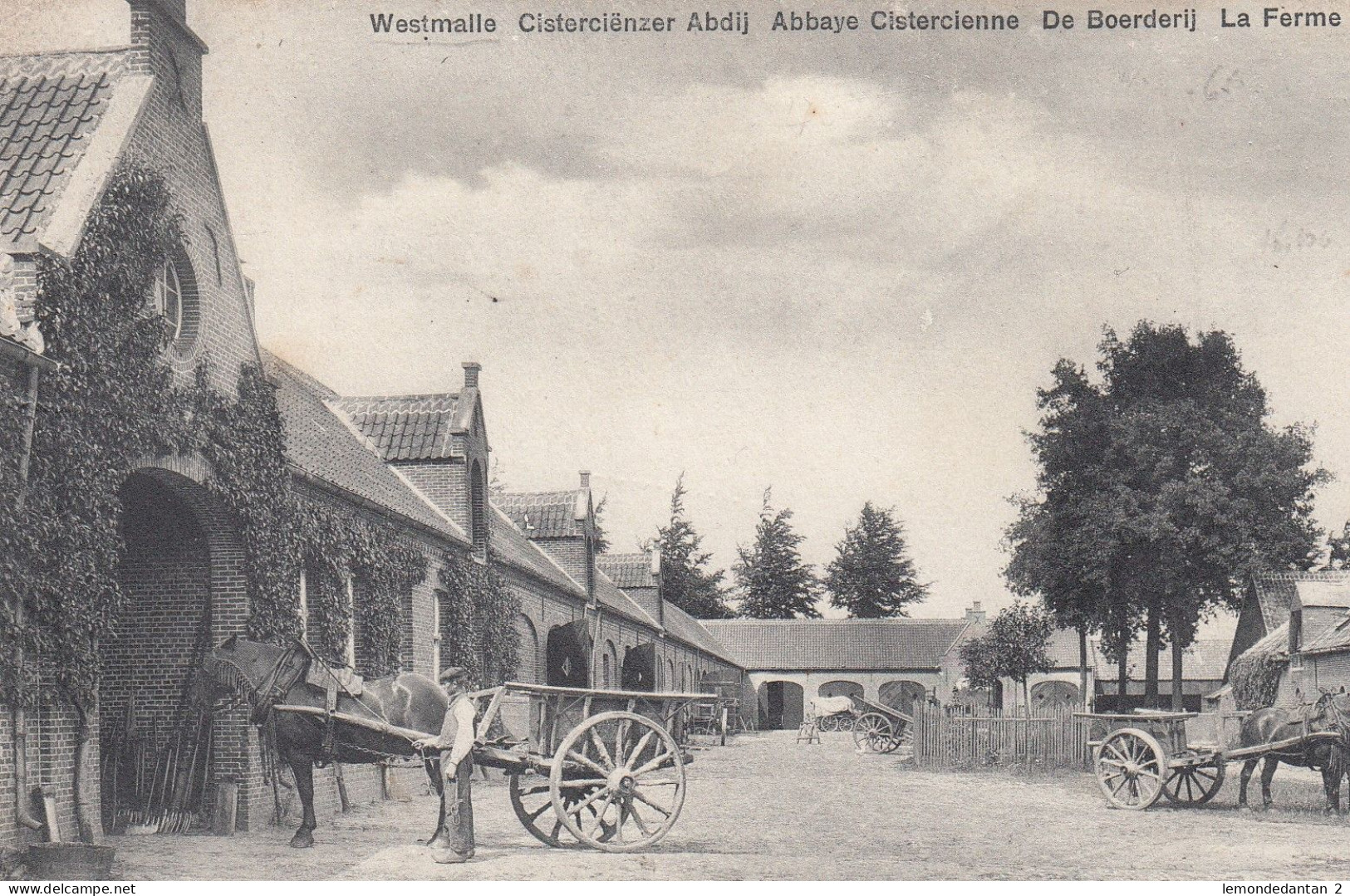 Westmalle - Cisterciënzer Abdij - De Boerderij - La Ferme - Malle