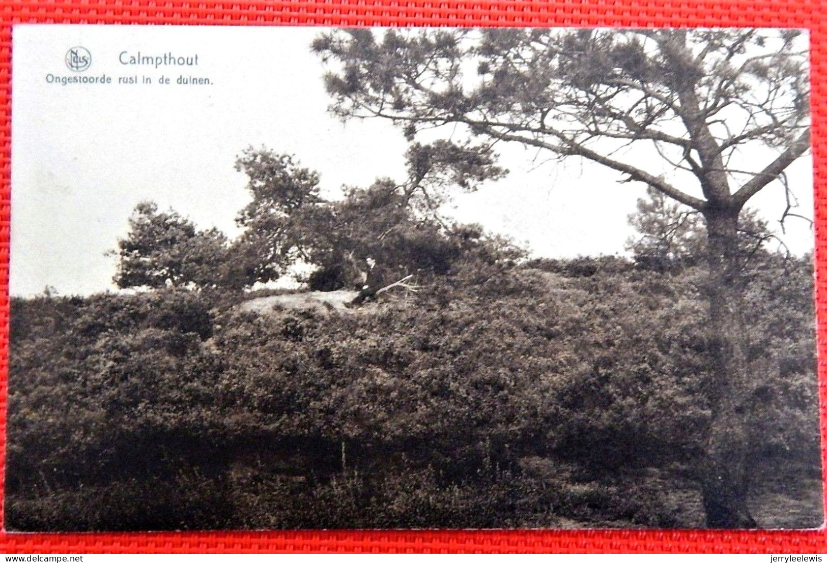 HEIDE - KALMTHOUT -   Ongestoorde Rust In De Duinen - Kalmthout