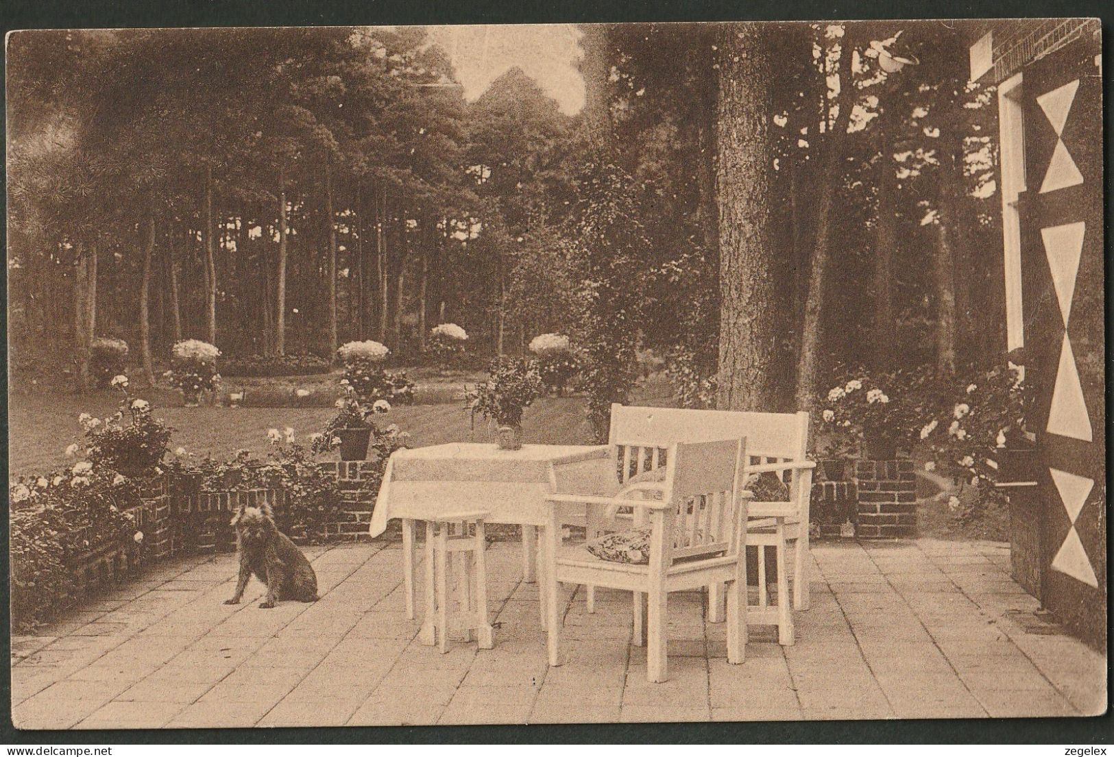 Zeist - Huize Dhjimat - Woudenbergscheweg - Terras - Zeist