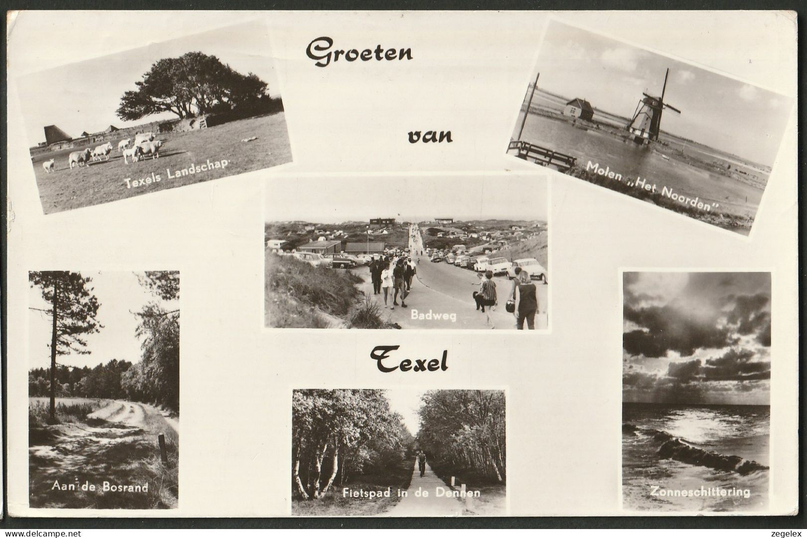 Texel 1960 - Molen "Het Noorden" - Texel