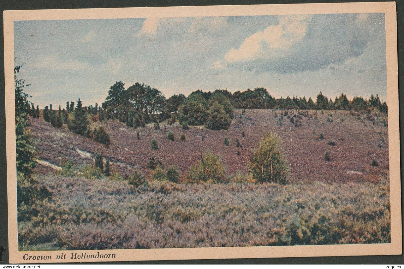 Hellendoorn - Heide - Hellendoorn