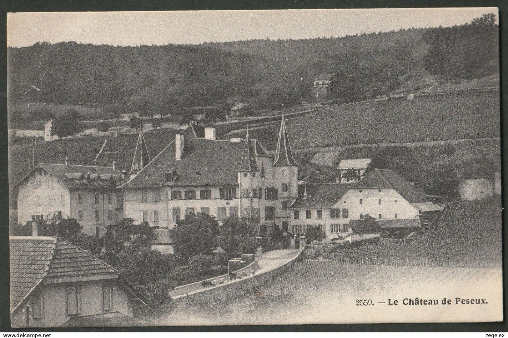 Peseux ~ 1906 - Le Château - Autres & Non Classés