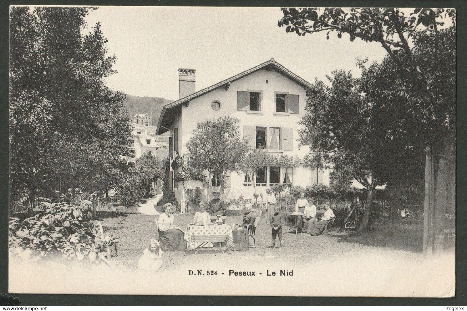 Peseux 1910 - Le Nid - Family In The Garden.  - Autres & Non Classés