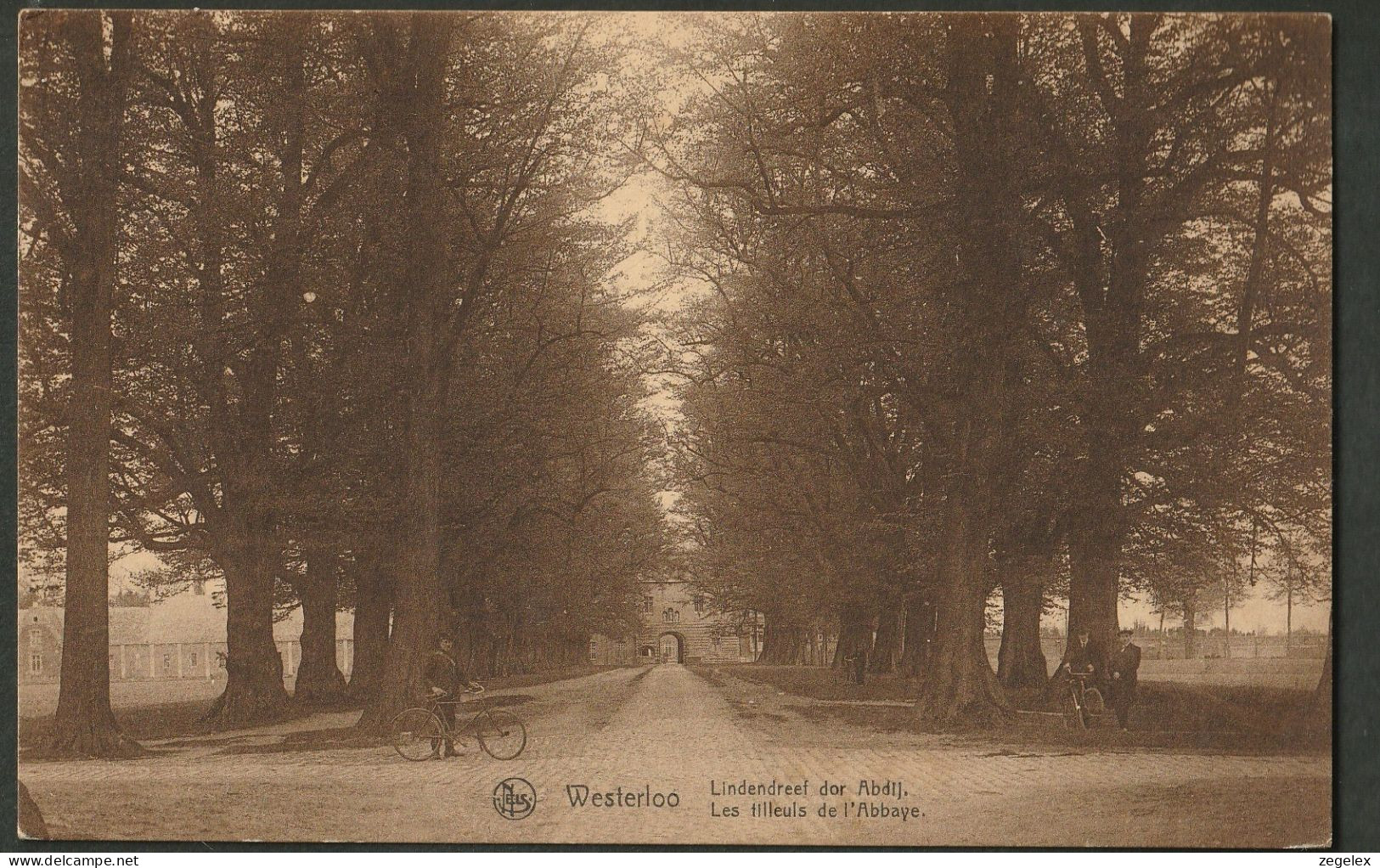 Westerloo 1925 - Lindendreef Der Abdij Met Kijkende Fietsers - Westerlo