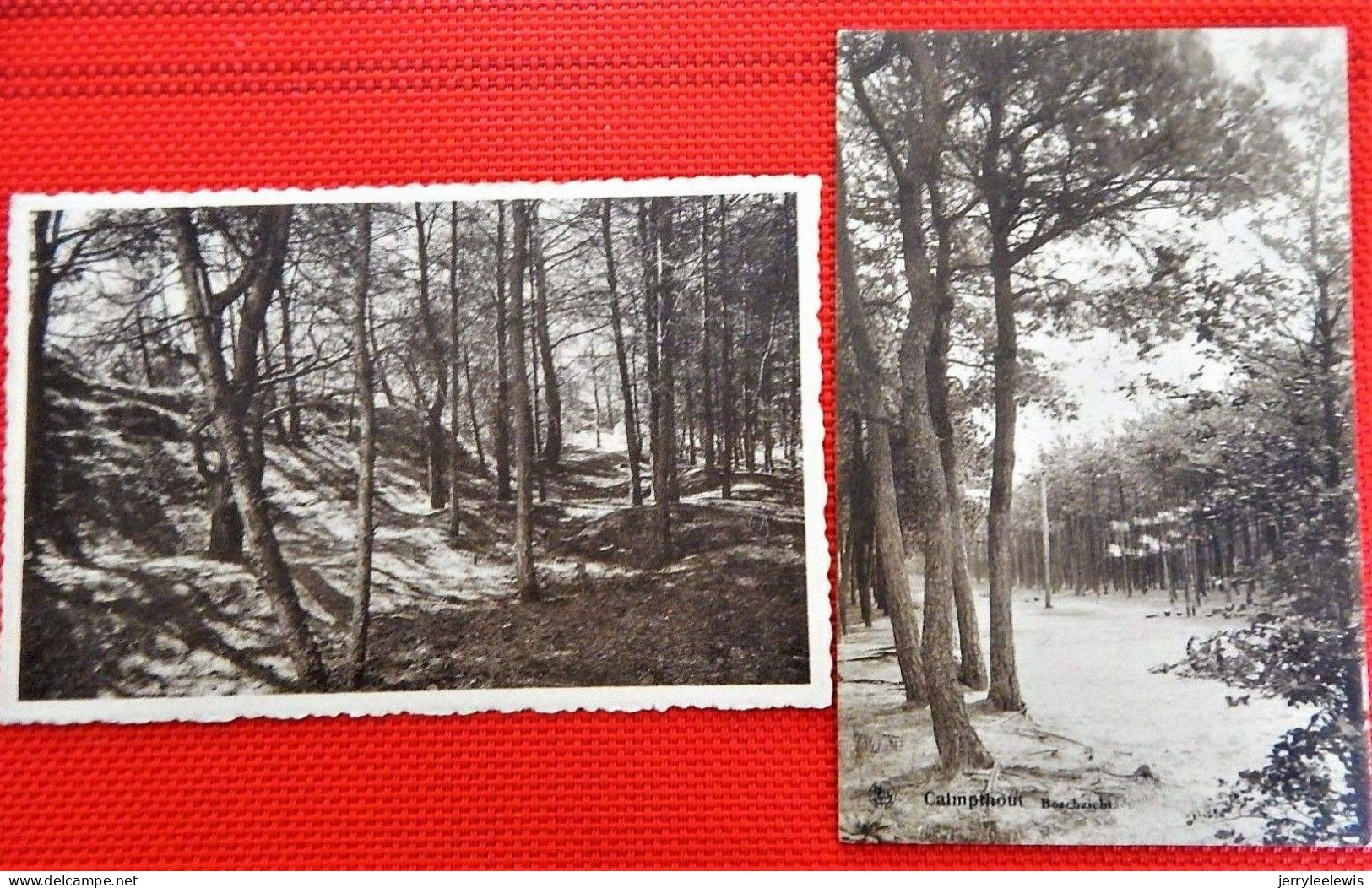 HEIDE - KALMTHOUT   -   4 POSTKAARTEN : Boszicht, Heidezicht, In De Bossen, Zicht Op Water En Duinen - Kalmthout