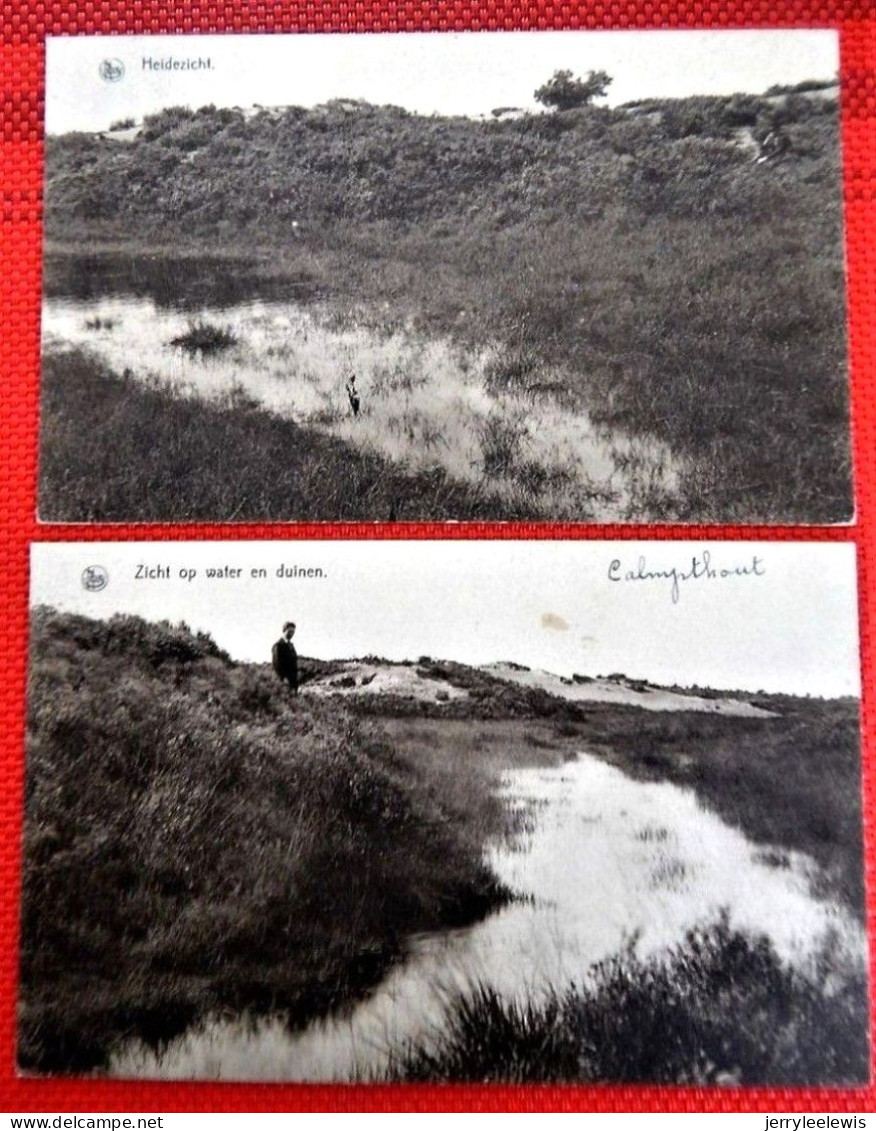 HEIDE - KALMTHOUT   -   4 POSTKAARTEN : Boszicht, Heidezicht, In De Bossen, Zicht Op Water En Duinen - Kalmthout