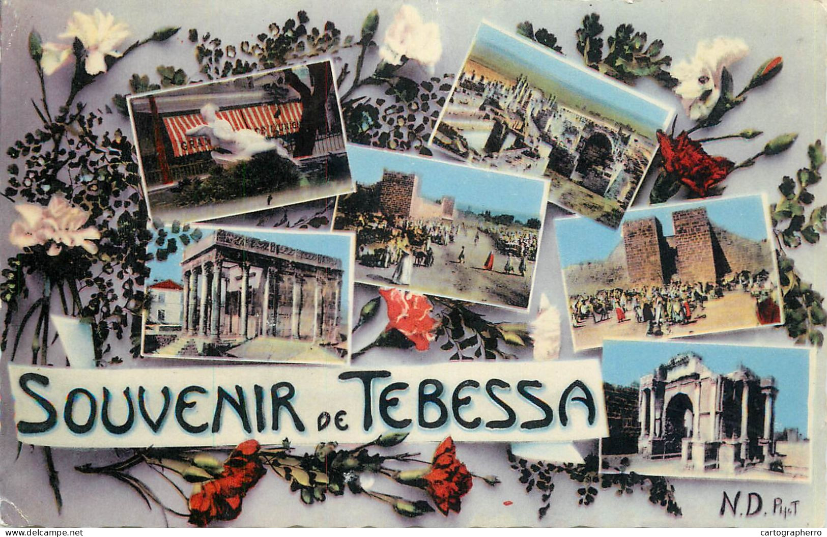 Postcard Algeria Tébessa - Tébessa