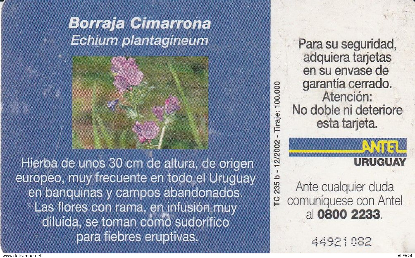 PHONE CARD URUGUAY  (E2.24.2 - Uruguay
