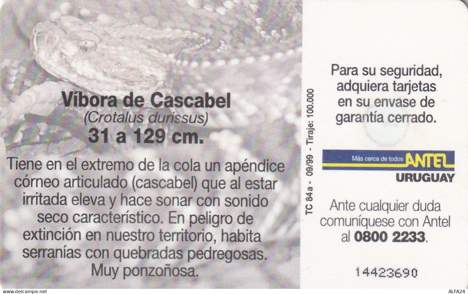 PHONE CARD URUGUAY  (E2.23.8 - Uruguay