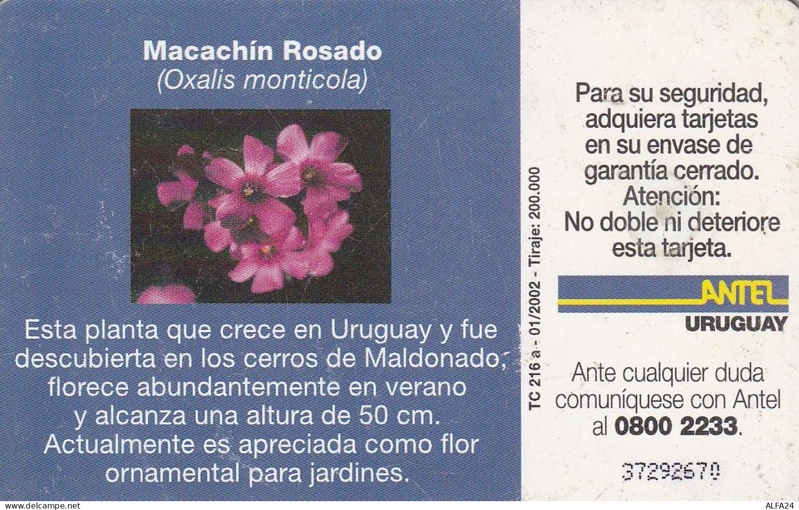 PHONE CARD URUGUAY  (E2.24.3 - Uruguay