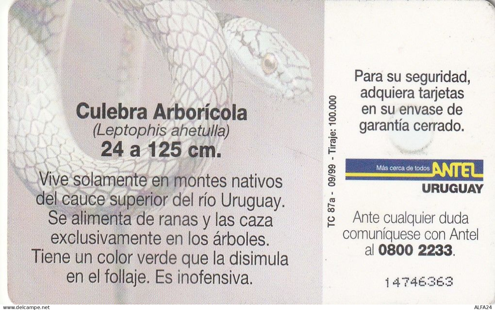 PHONE CARD URUGUAY  (E2.23.6 - Uruguay