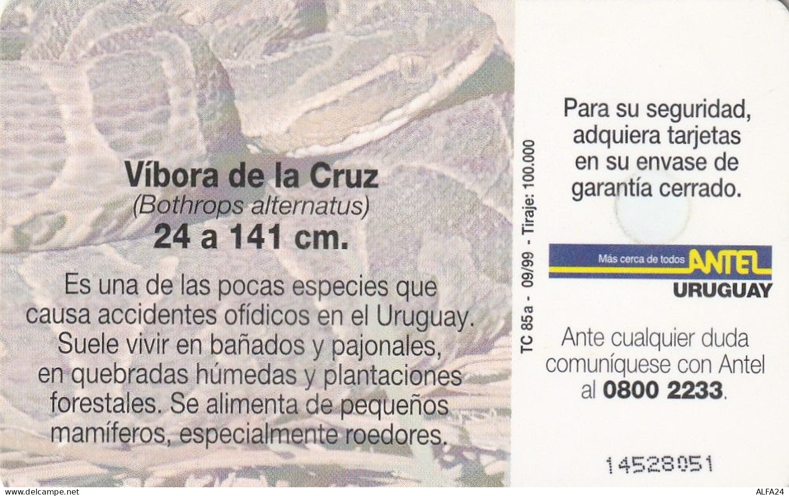 PHONE CARD URUGUAY  (E2.23.4 - Uruguay