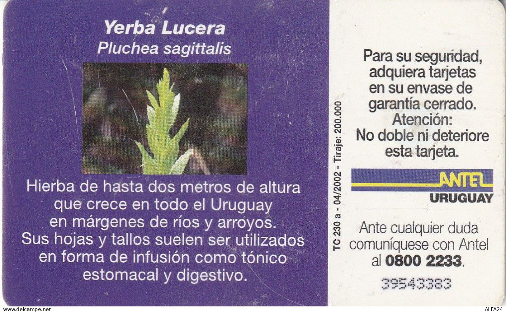 PHONE CARD URUGUAY  (E2.23.2 - Uruguay