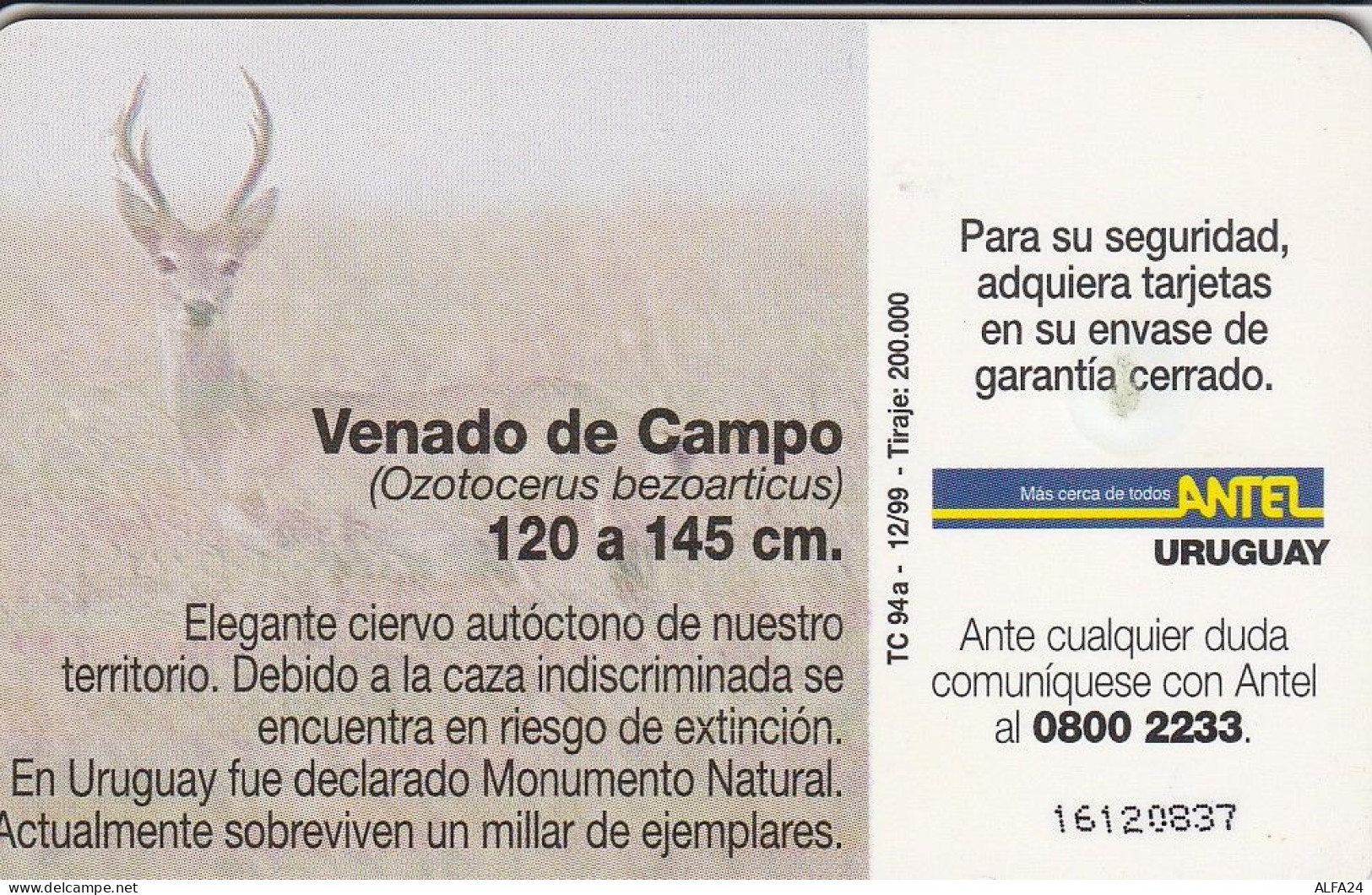 PHONE CARD URUGUAY  (E2.22.1 - Uruguay