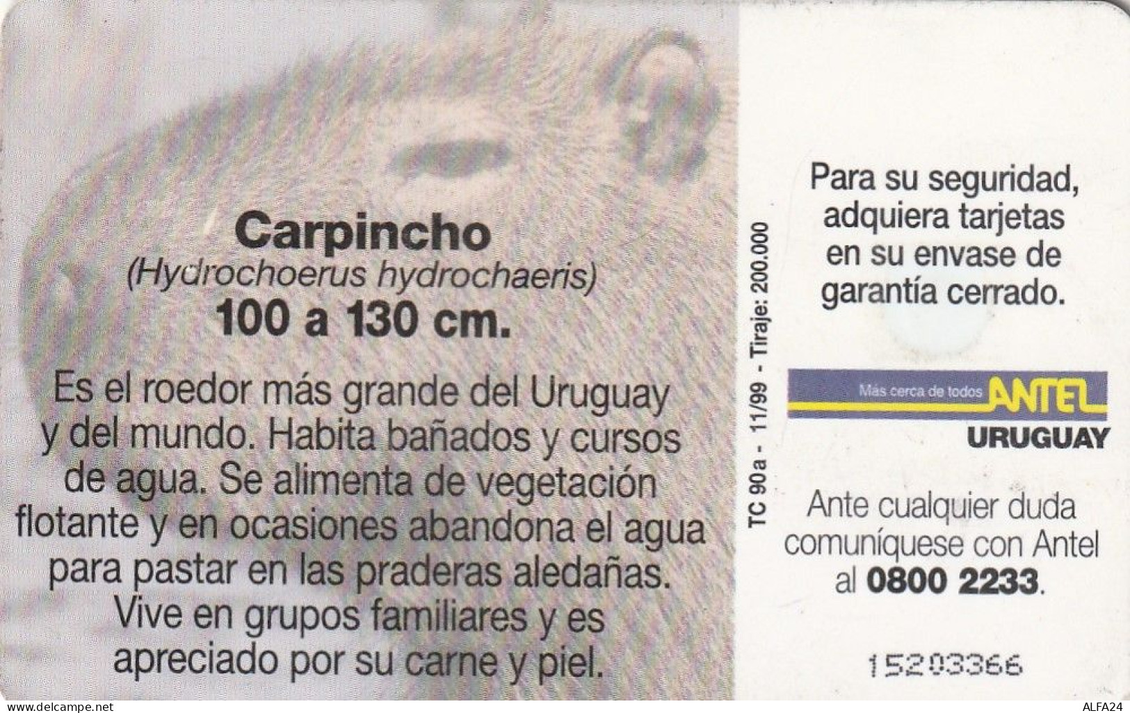 PHONE CARD URUGUAY  (E2.22.8 - Uruguay