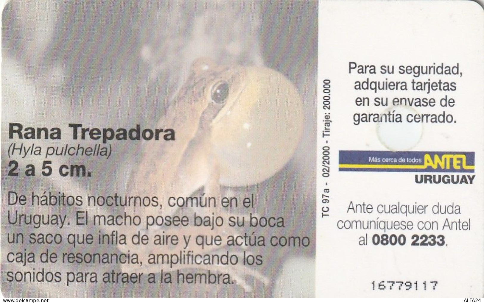 PHONE CARD URUGUAY  (E2.21.8 - Uruguay