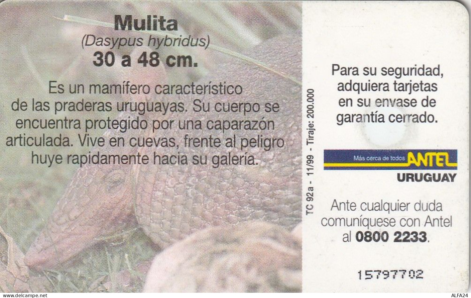 PHONE CARD URUGUAY  (E2.21.7 - Uruguay