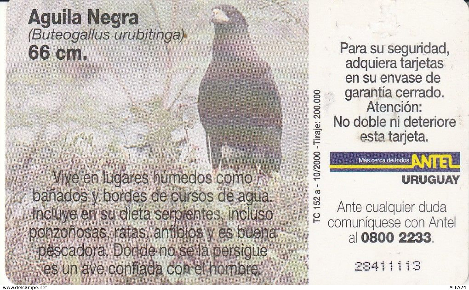 PHONE CARD URUGUAY  (E2.21.2 - Uruguay