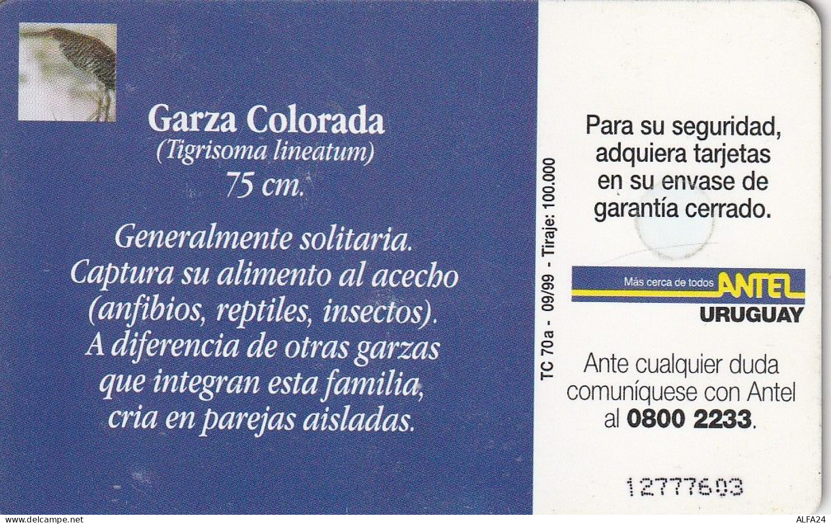 PHONE CARD URUGUAY  (E2.20.7 - Uruguay