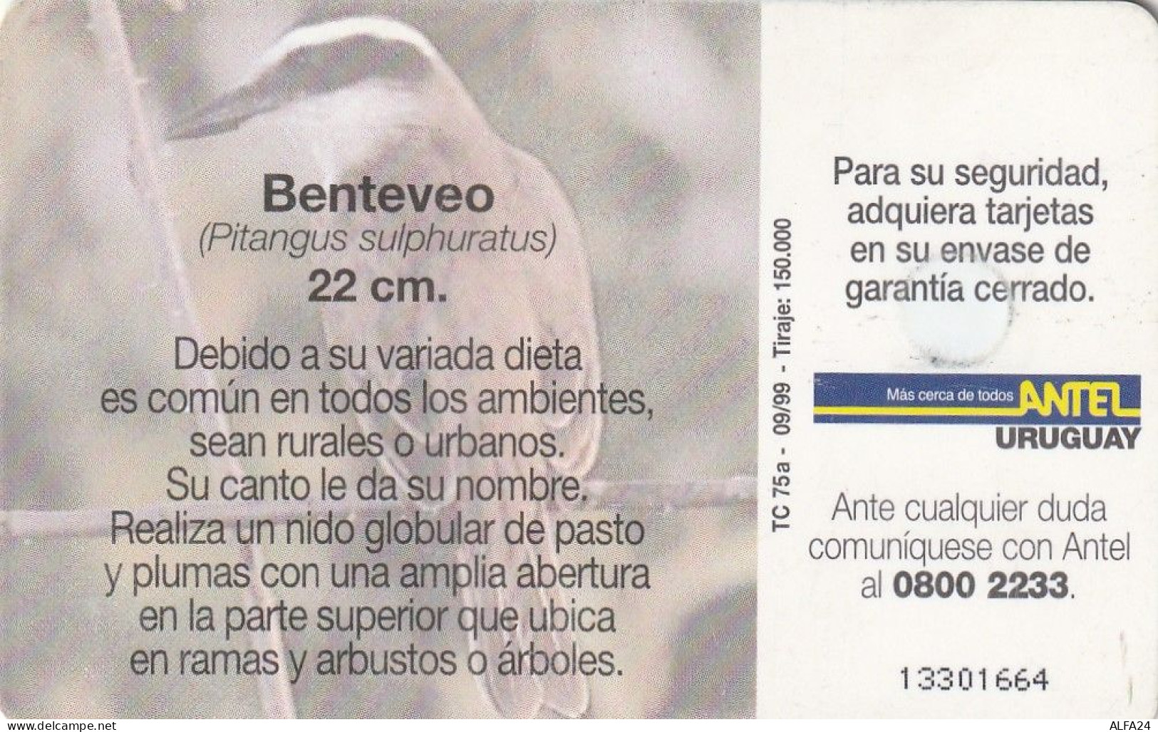 PHONE CARD URUGUAY  (E2.19.4 - Uruguay