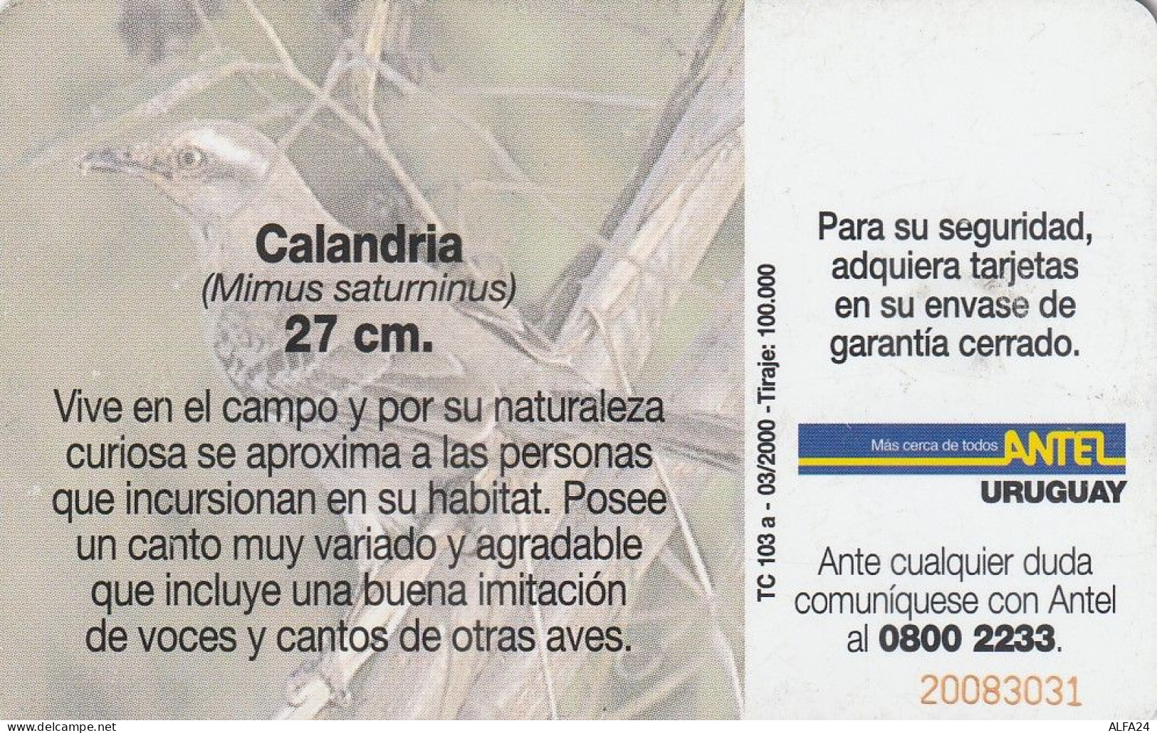 PHONE CARD URUGUAY  (E2.20.4 - Uruguay