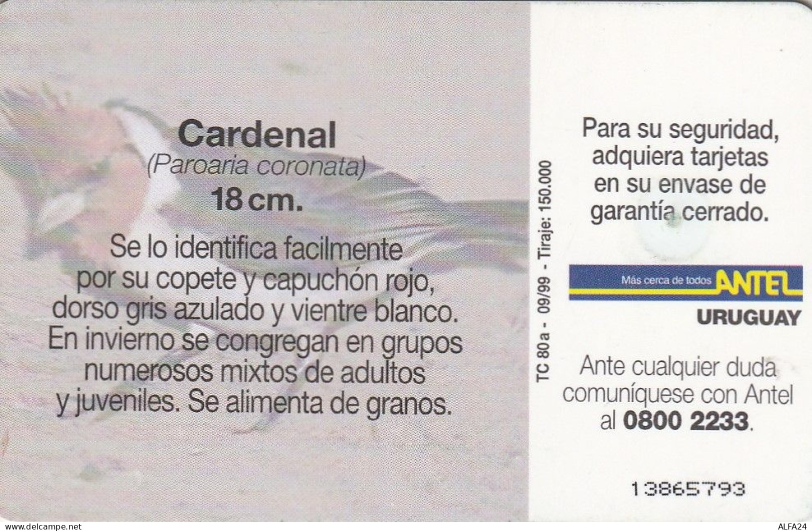 PHONE CARD URUGUAY  (E2.20.3 - Uruguay