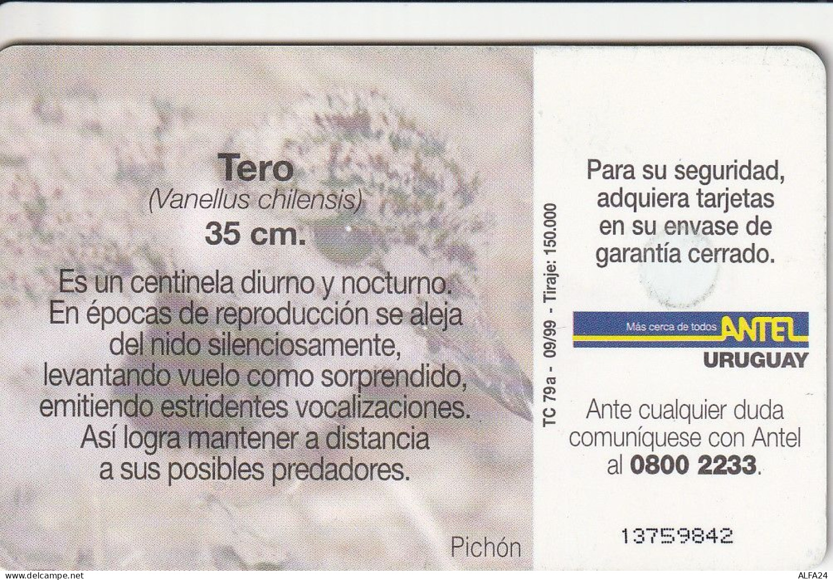 PHONE CARD URUGUAY  (E2.20.1 - Uruguay